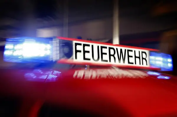 RD 2 Herz/Kreislauf